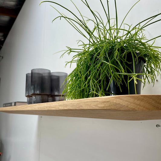 CJ Shelf